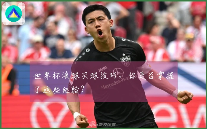 世界杯滚球买球技巧，你是否掌握了这些经验？