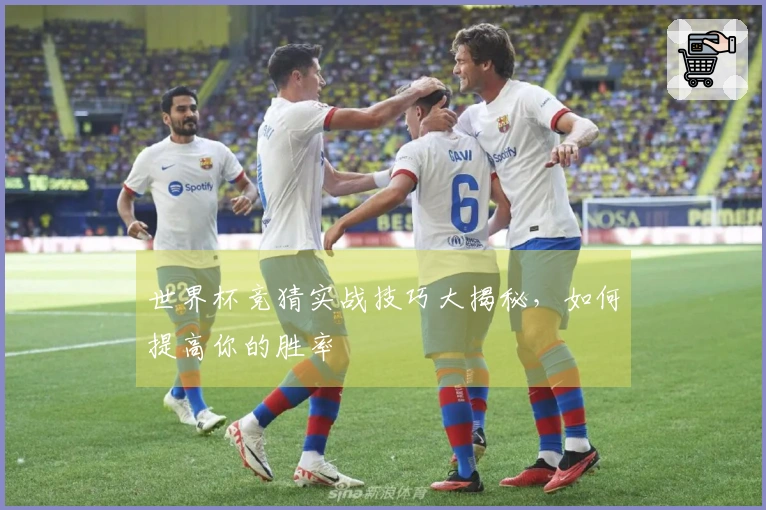 世界杯竞猜实战技巧大揭秘，如何提高你的胜率