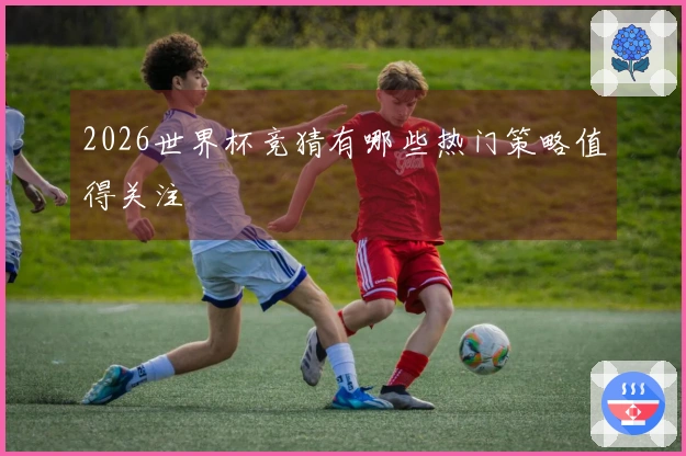 2026世界杯竞猜有哪些热门策略值得关注