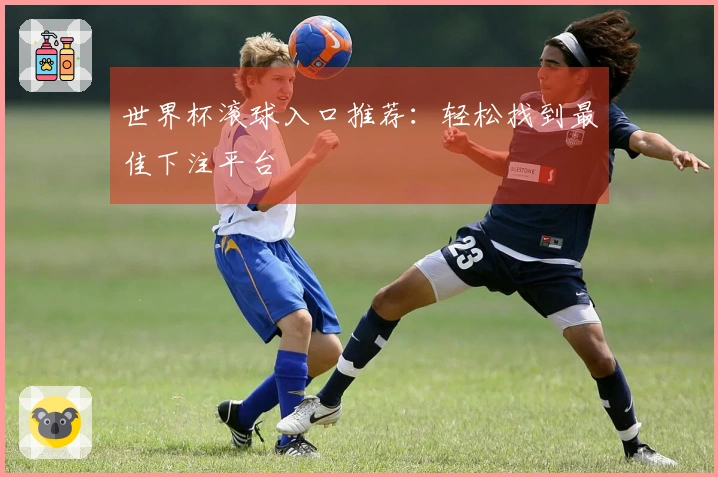 世界杯滚球入口推荐：轻松找到最佳下注平台