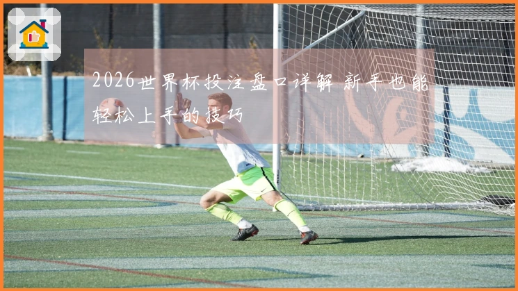 2026世界杯投注盘口详解 新手也能轻松上手的技巧